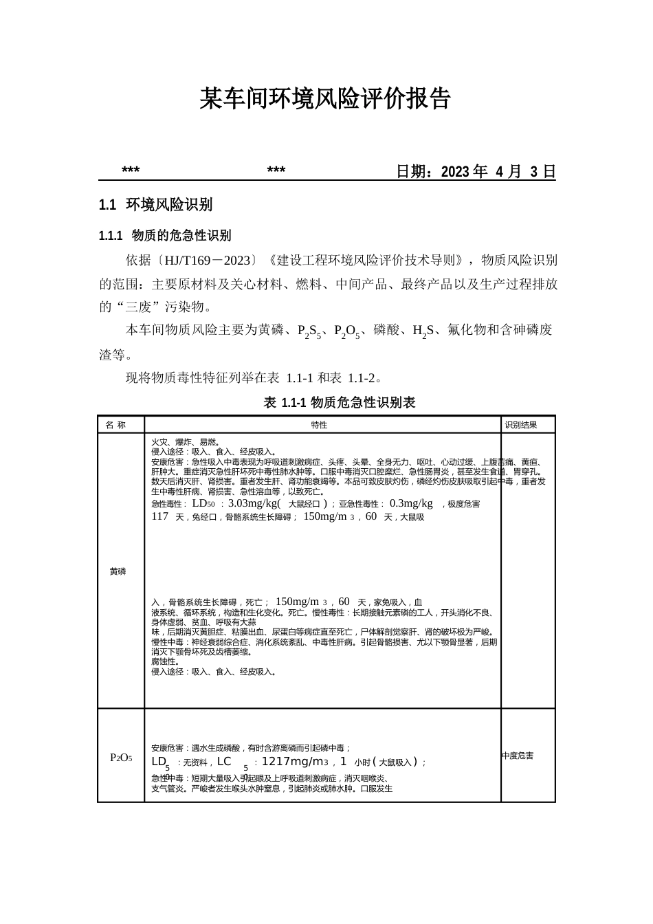 某公司环境风险评价报告(案例)_第1页