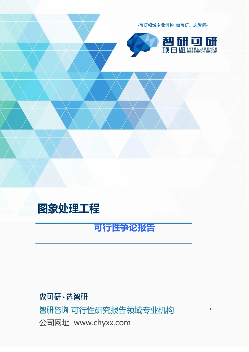 图象处理项目可行性研究报告_第1页