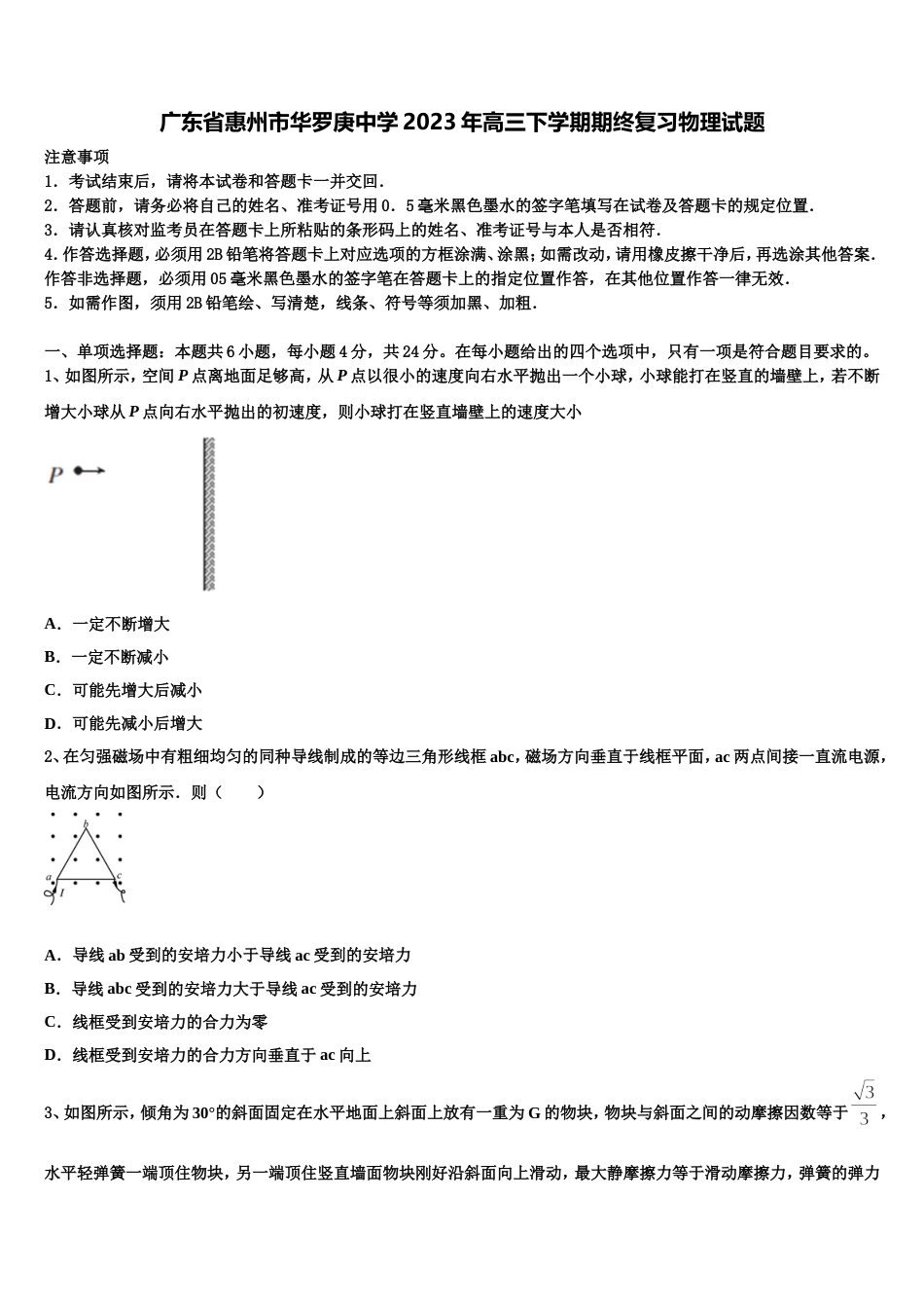 广东省惠州市华罗庚中学2023年高三下学期期终复习物理试题_第1页
