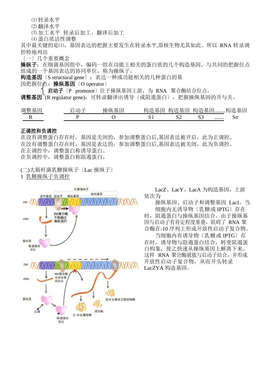 生物化学专题_第2页