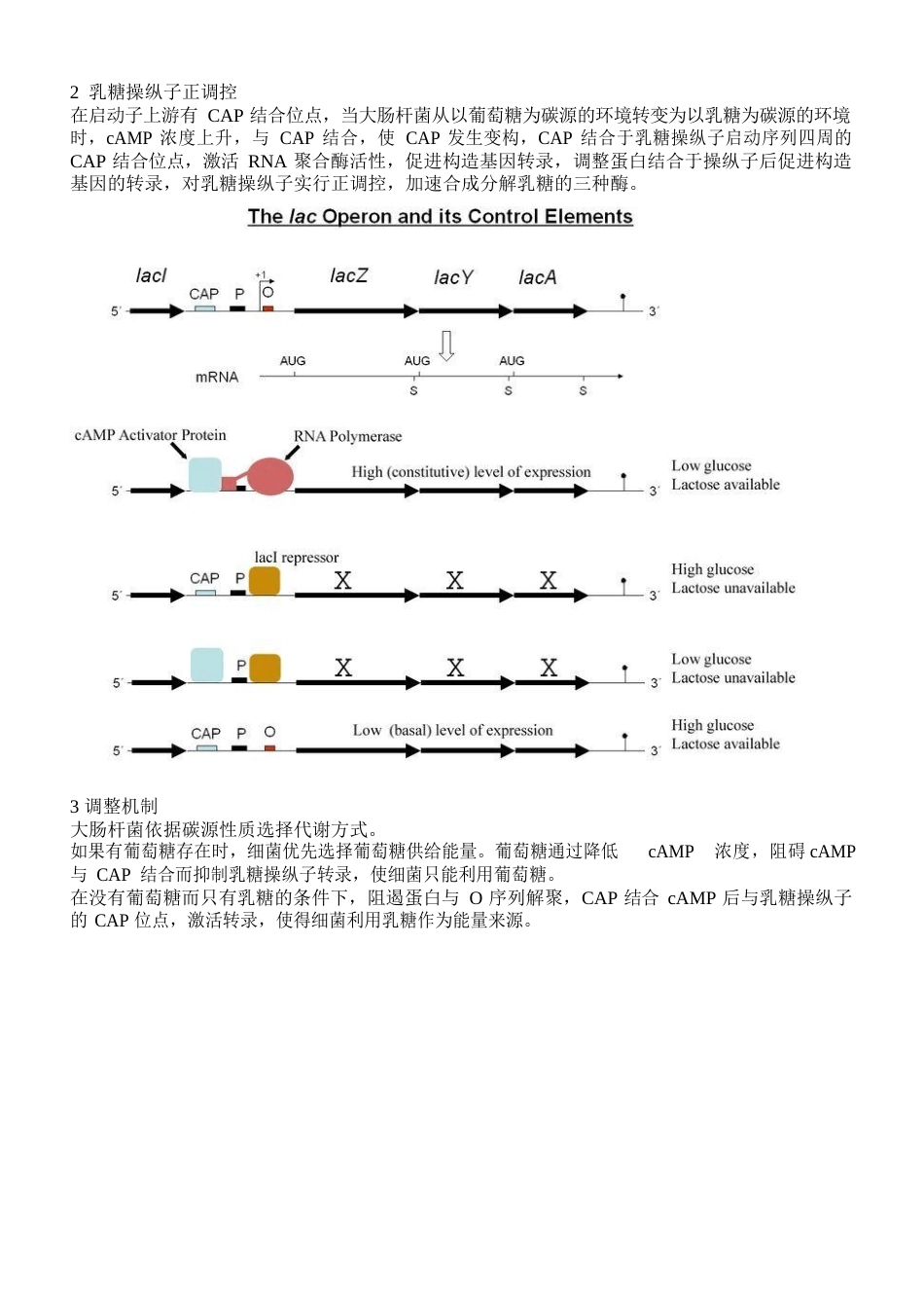 生物化学专题_第3页