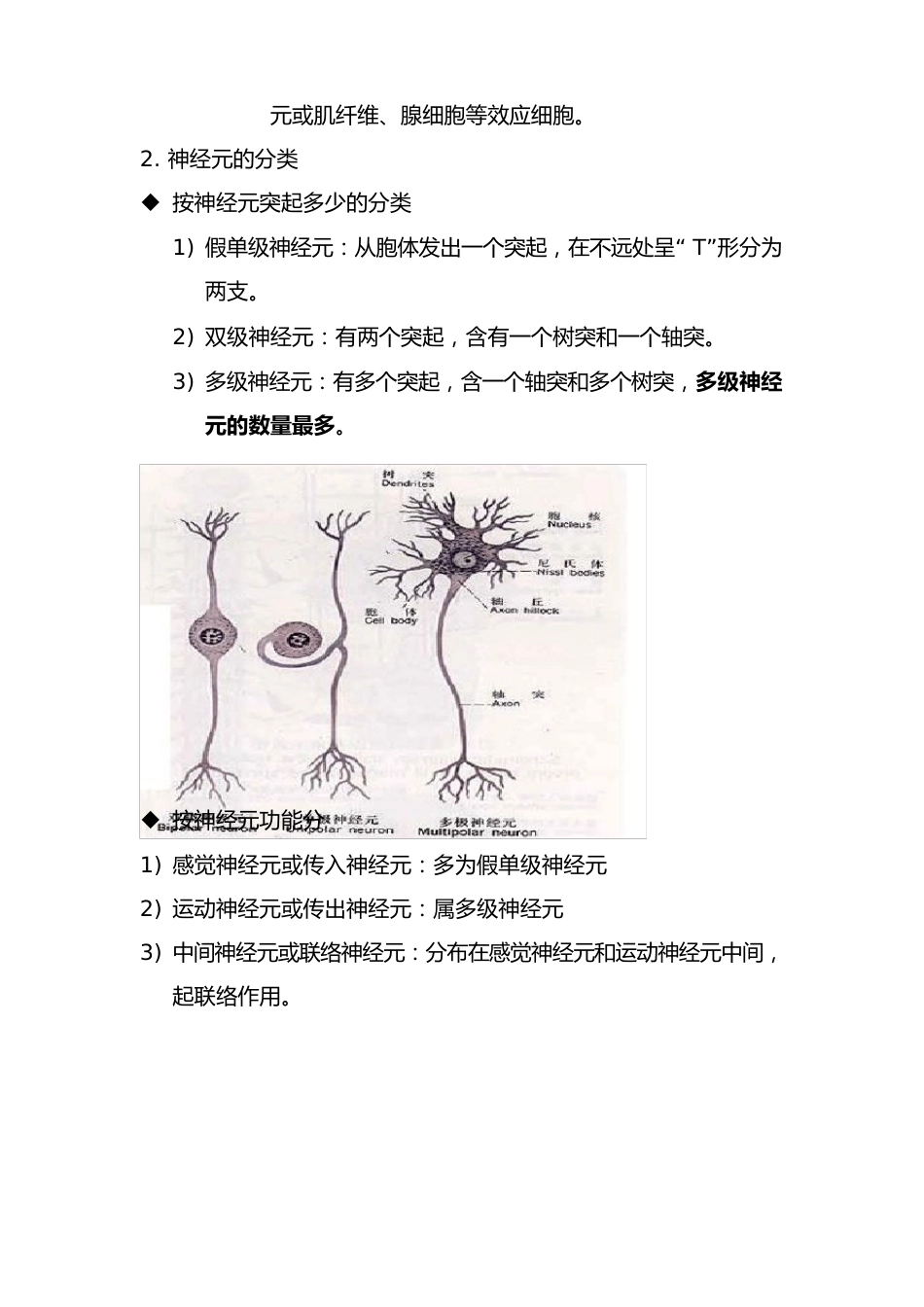 人体解剖与生理重要知识点_第2页