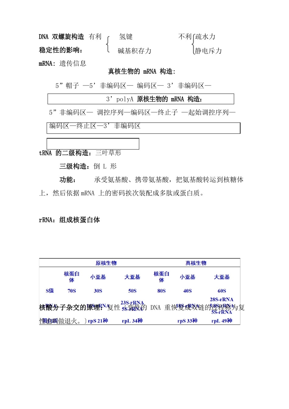 药学分子生物学重点_第2页