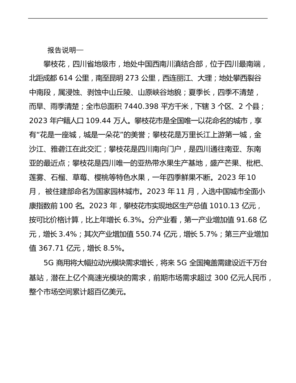 攀枝花项目可行性研究报告说明_第2页