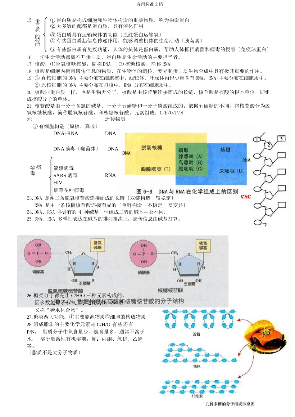 人教版高一必修一生物知识点_第3页