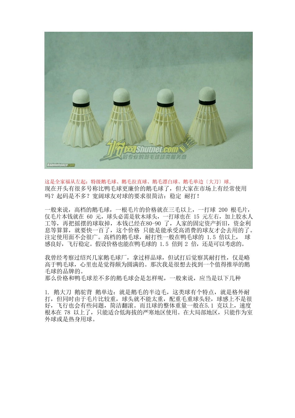 羽毛球各种类识别_第1页
