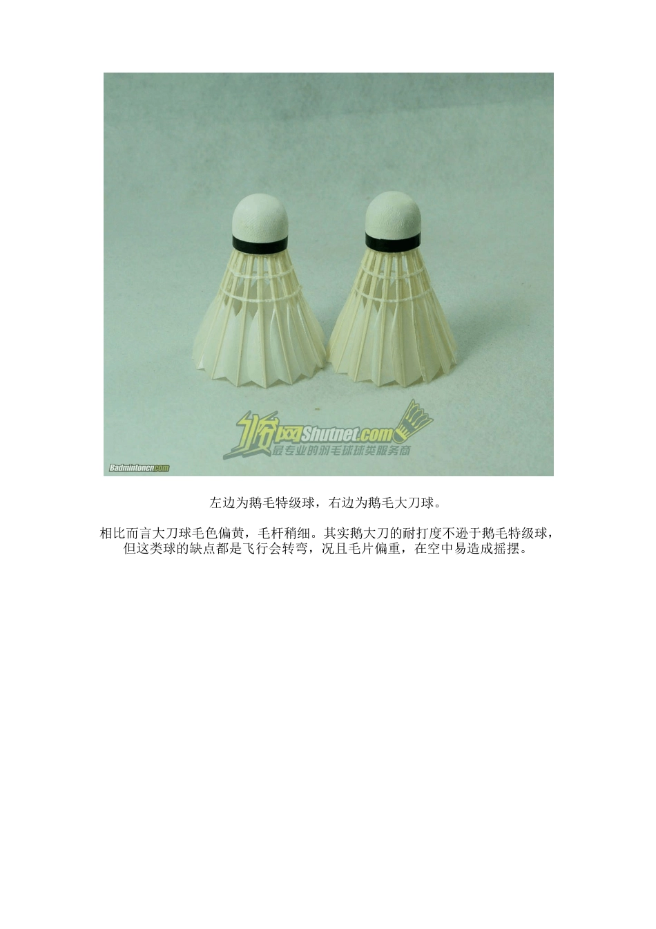 羽毛球各种类识别_第2页