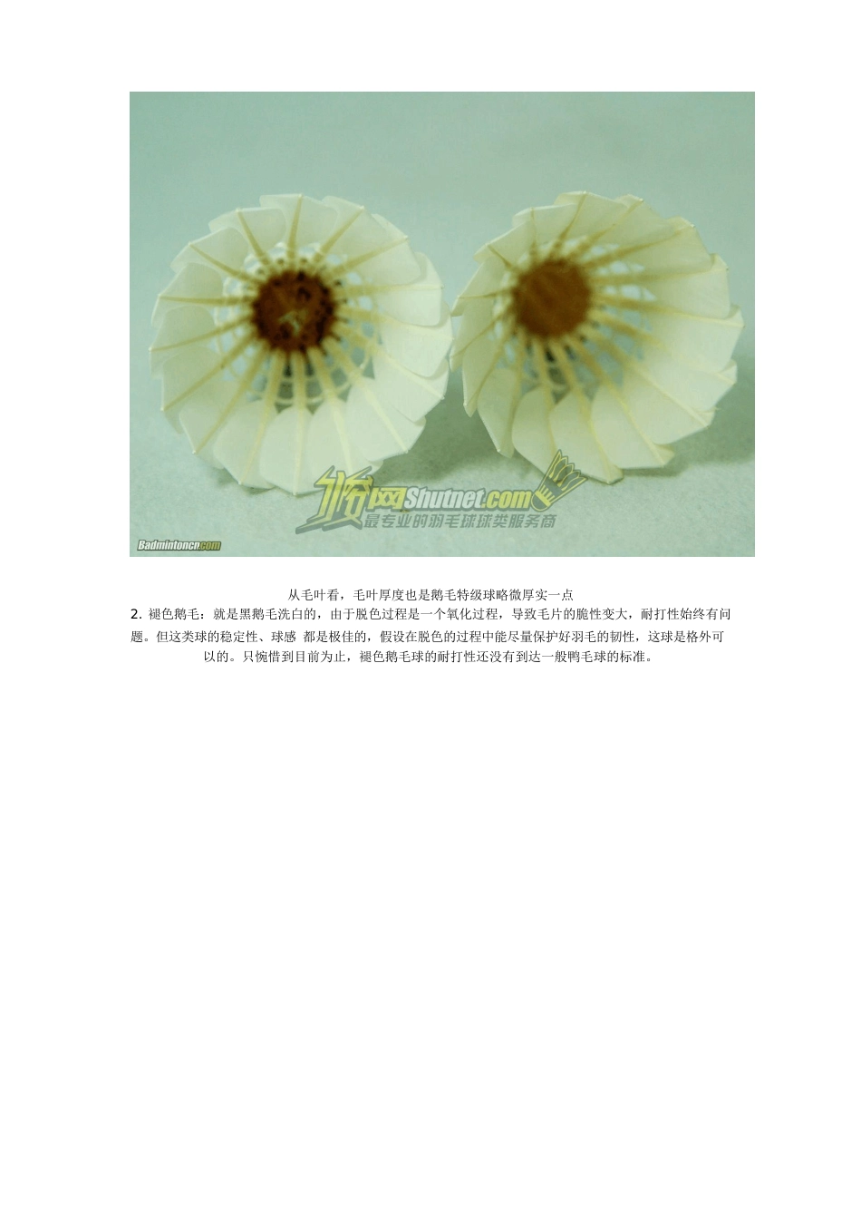 羽毛球各种类识别_第3页