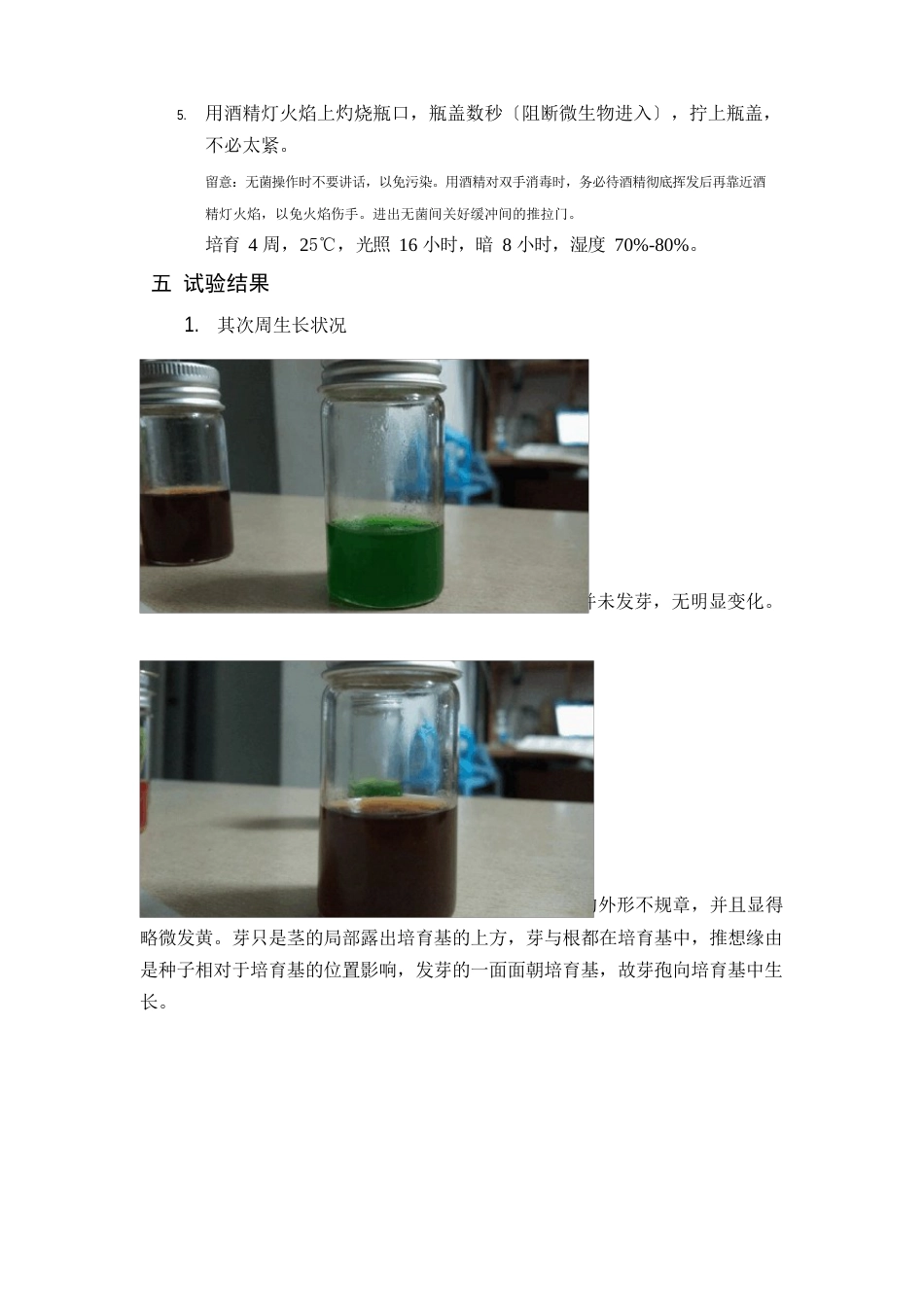 烟草的组织培养技术_第3页