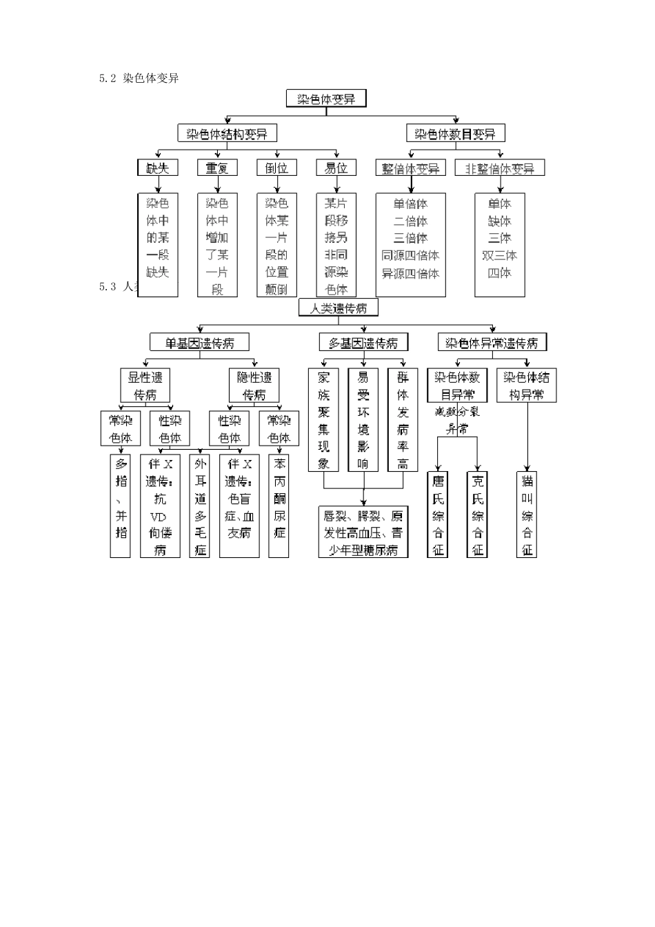 生物必修2知识点框架图_第2页