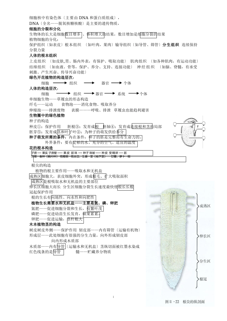 七年级上册知识点及练习_第3页