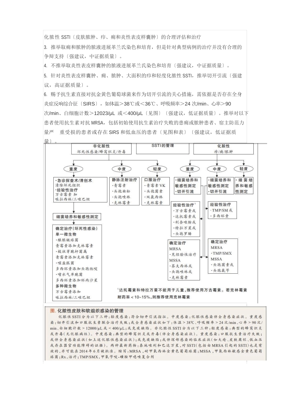 皮肤感染指南_第2页