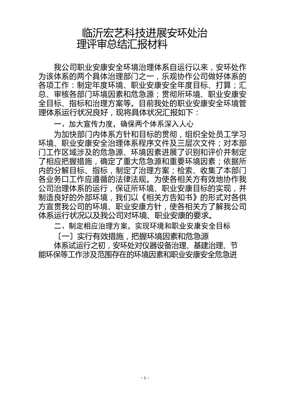 安环处管理运行体系报告_第1页
