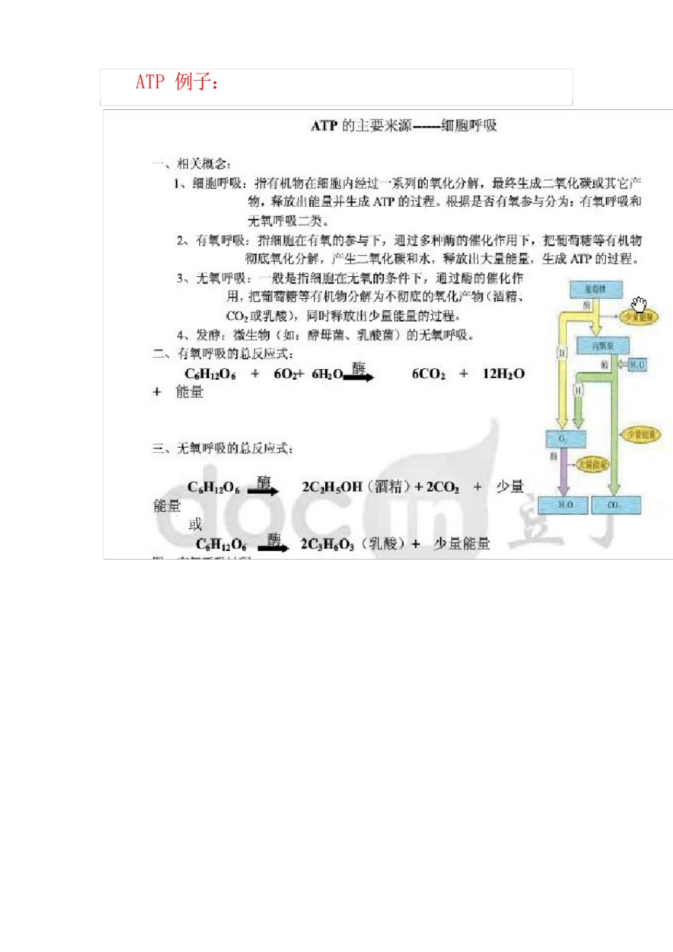 高中生物光合,呼吸作用知识点_第2页