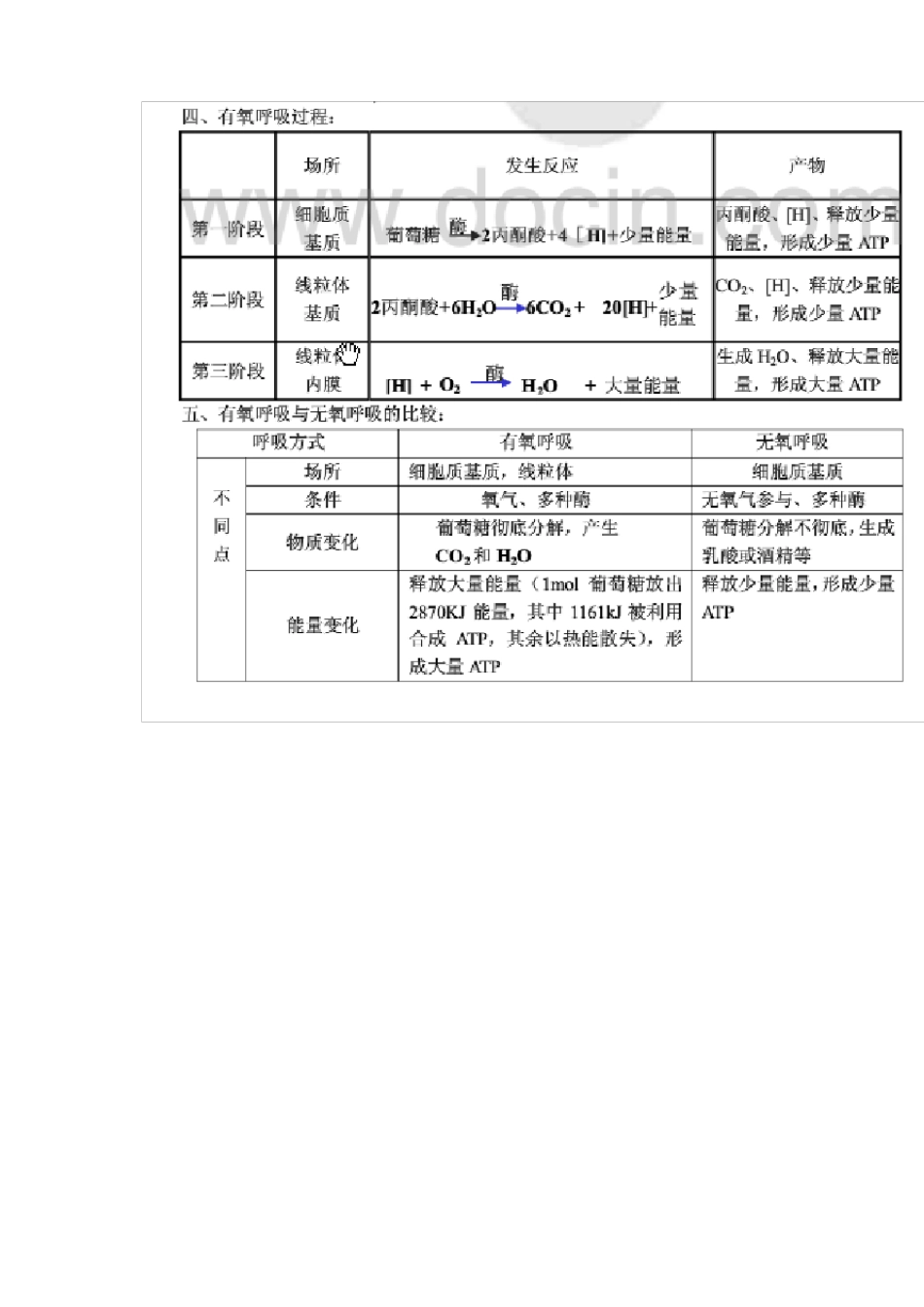 高中生物光合,呼吸作用知识点_第3页