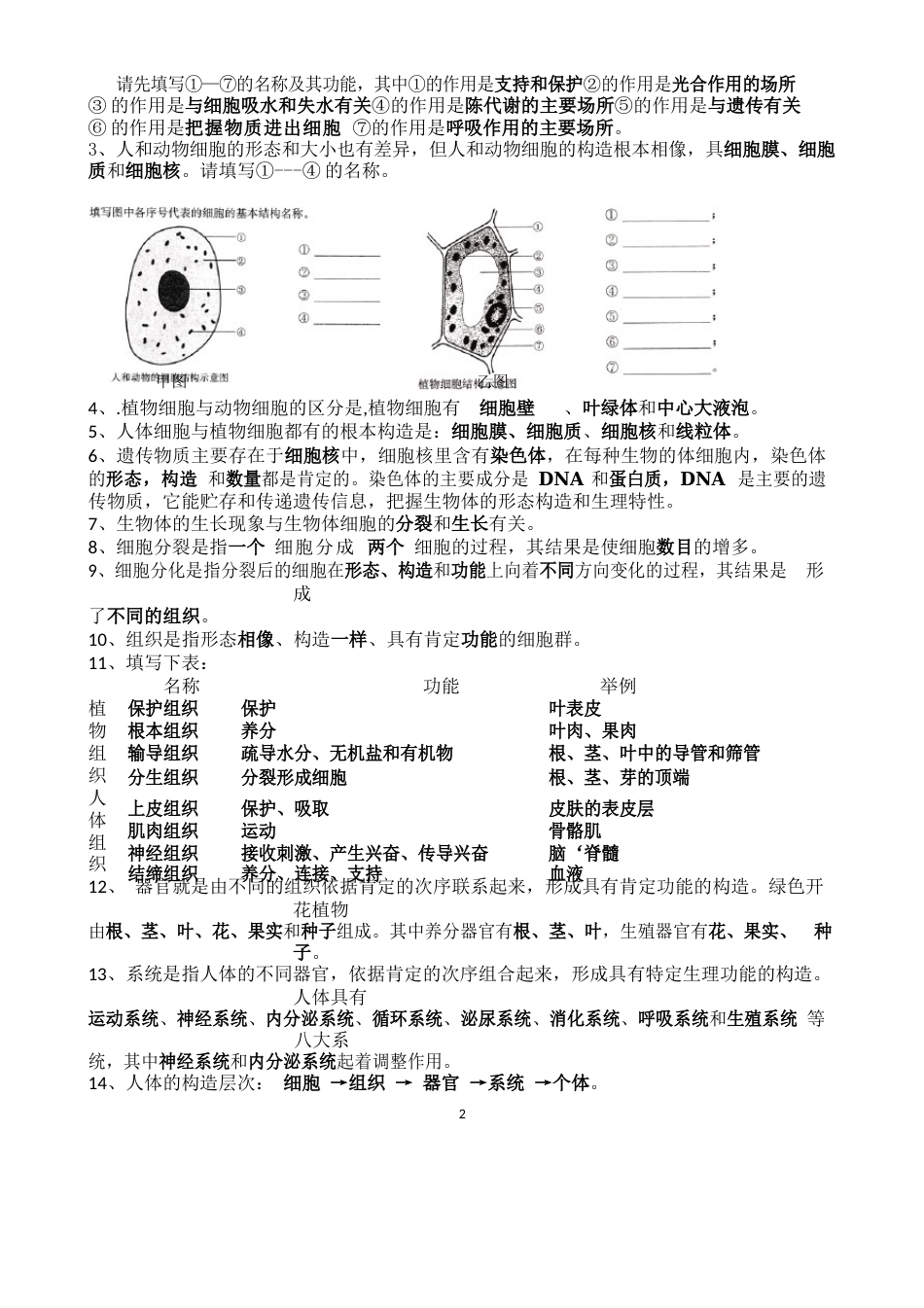 苏教版七年级生物上学期知识点汇总_第2页