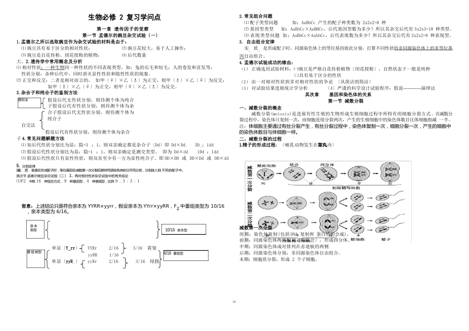 高中生物必修二基础知识梳理_第1页