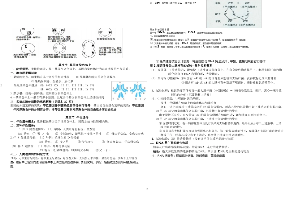 高中生物必修二基础知识梳理_第3页