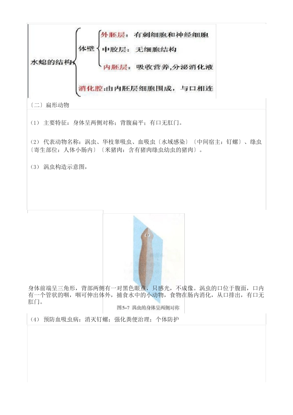 人教版八年级生物上册知识点_第2页
