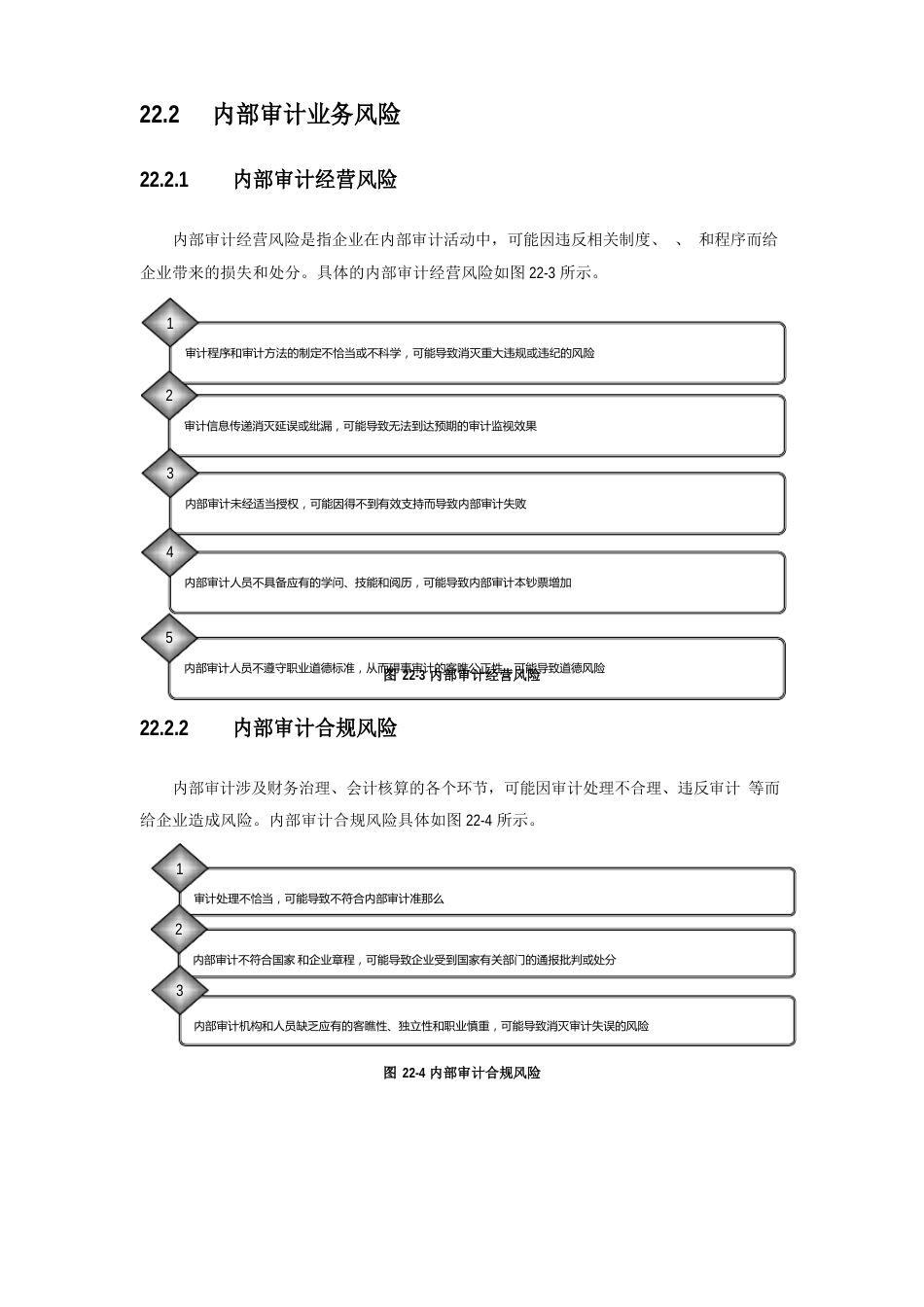 内部审计业务风险与业务流程_第2页