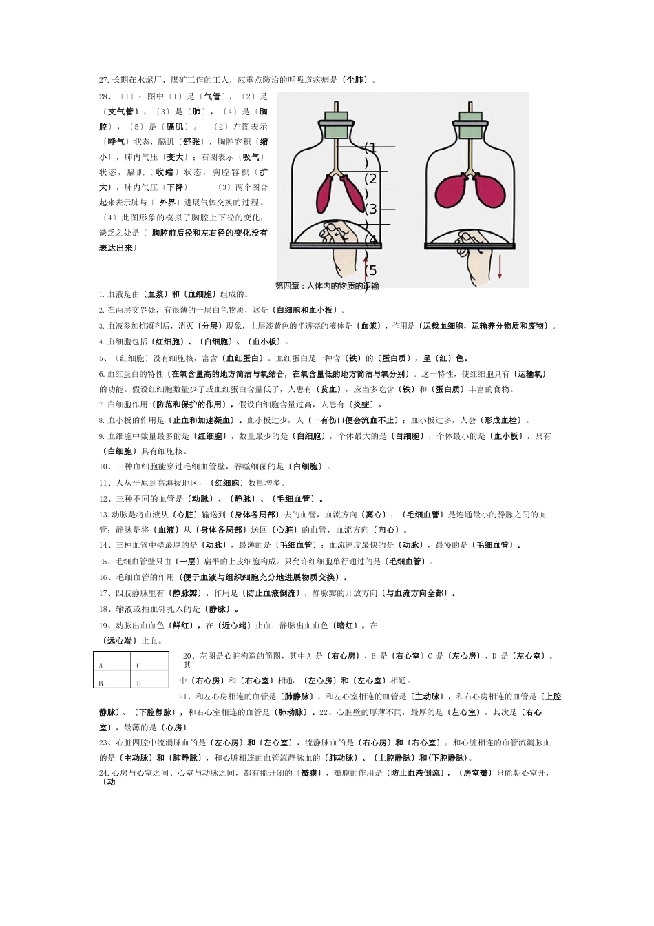 生物七年级下册知识点_第3页