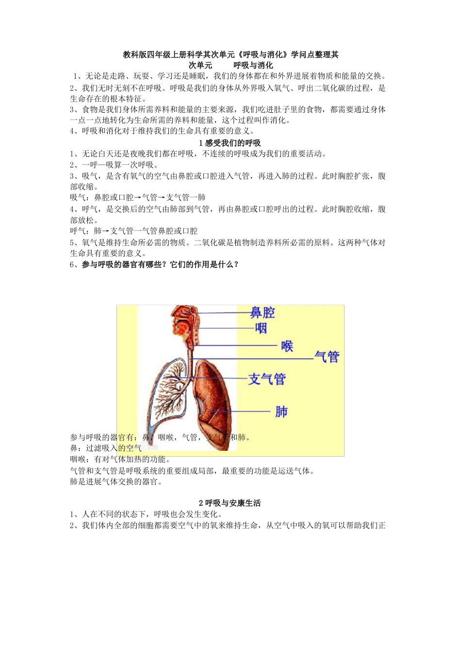 新教科版四年级上册科学第二单元《呼吸与消化》知识点整理_第1页