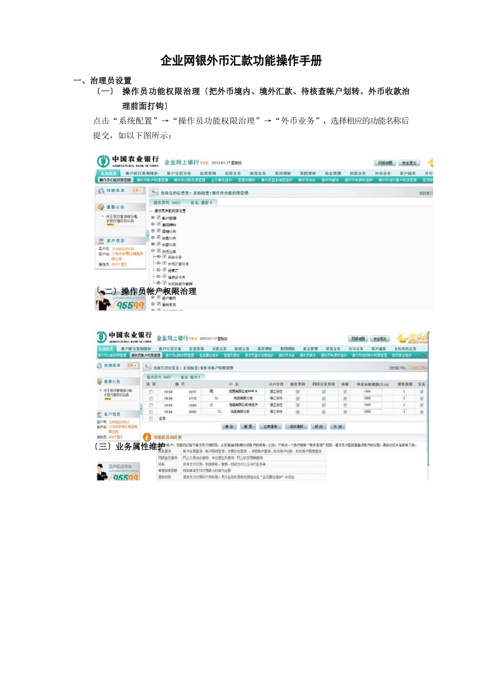 农行企业网银外币汇款功能客户端操作手册_第1页