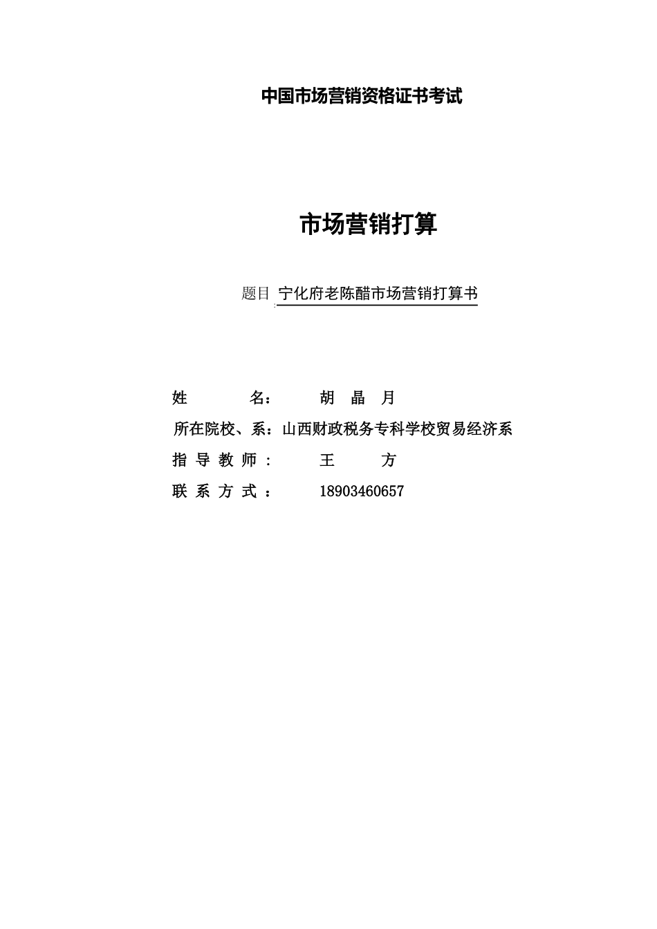 宁化府营销策划书(原稿)_第1页