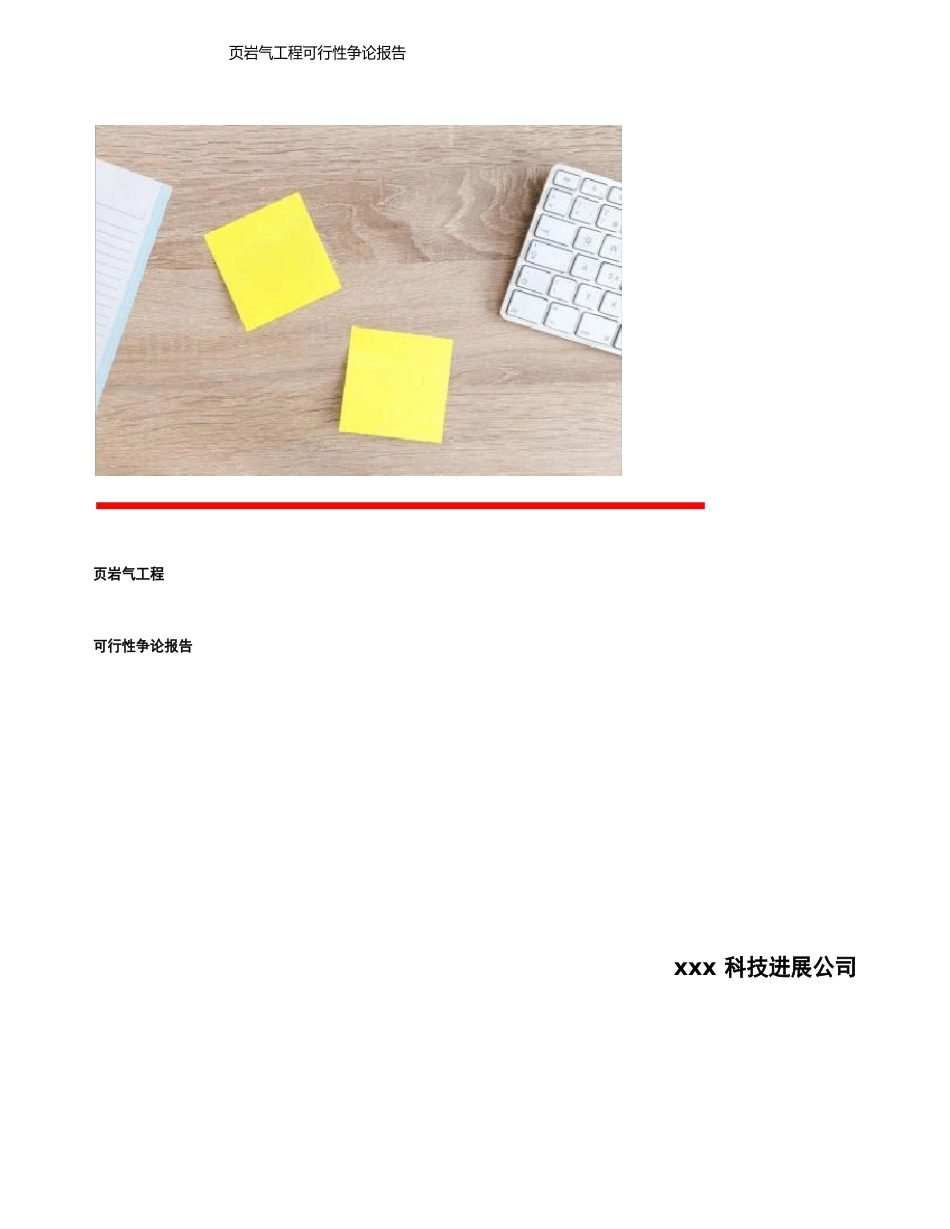 页岩气项目可行性研究报告_第1页