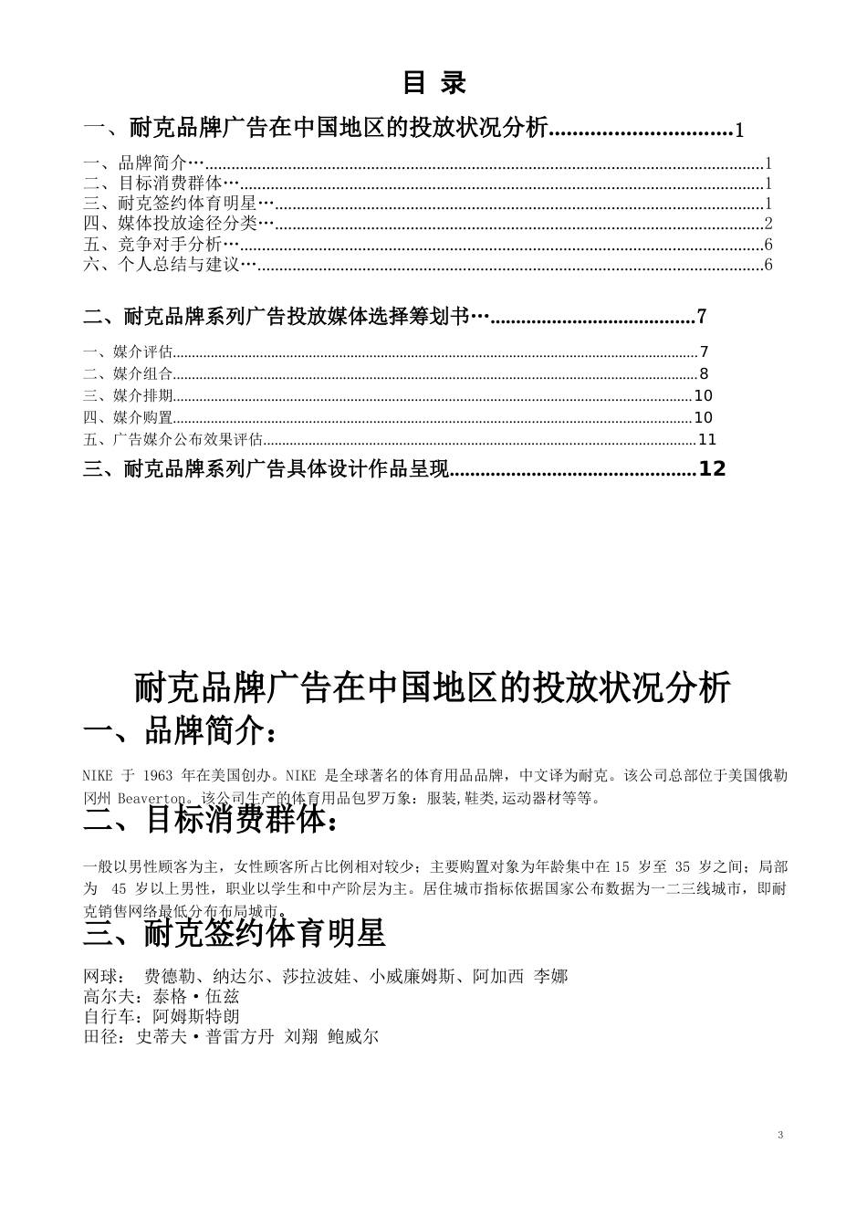 耐克广告媒介策划书_第2页