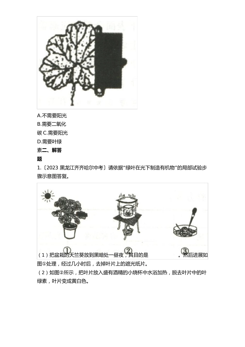 作业设计B《绿色植物是生物圈中有机物的制造者》_第3页