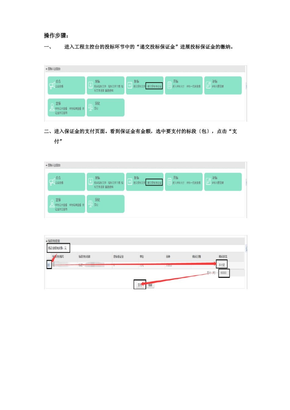 中国石油电子招标投标交易平台投标保证金操作指南V1.0_第3页