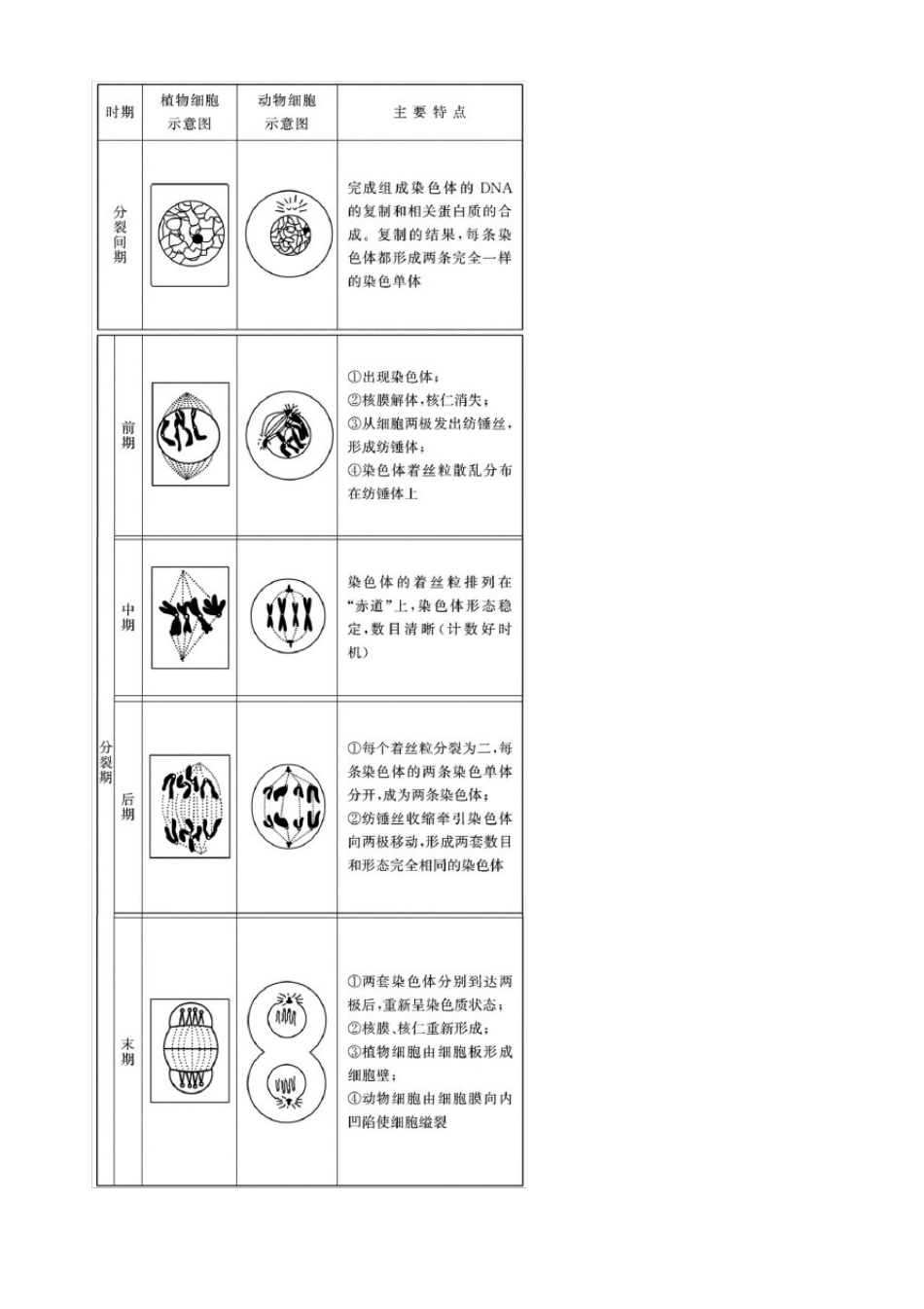 生物必修一第一节细胞的增殖知识总结_第2页