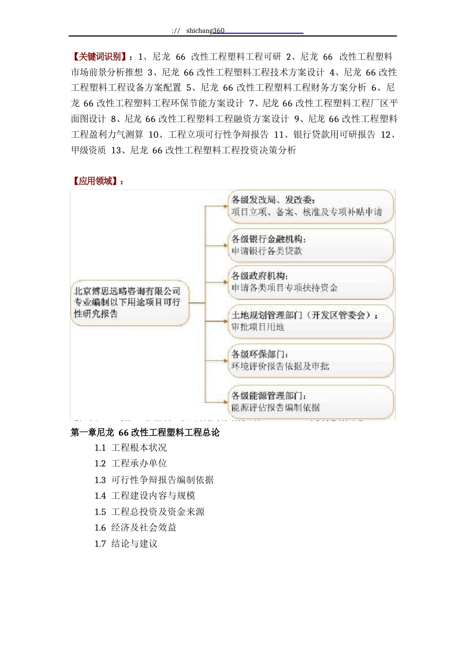 尼龙66改性工程塑料项目可行性研究报告方案(可用于发改委立项及银行贷款+2013详细案例范文)_第2页