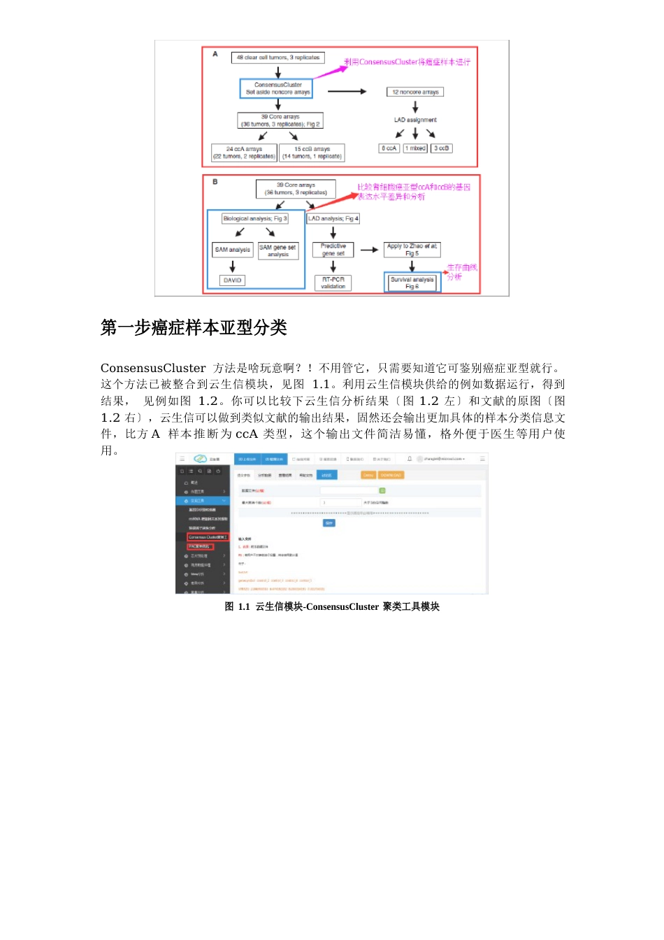 临床医学数据分析报告_第2页