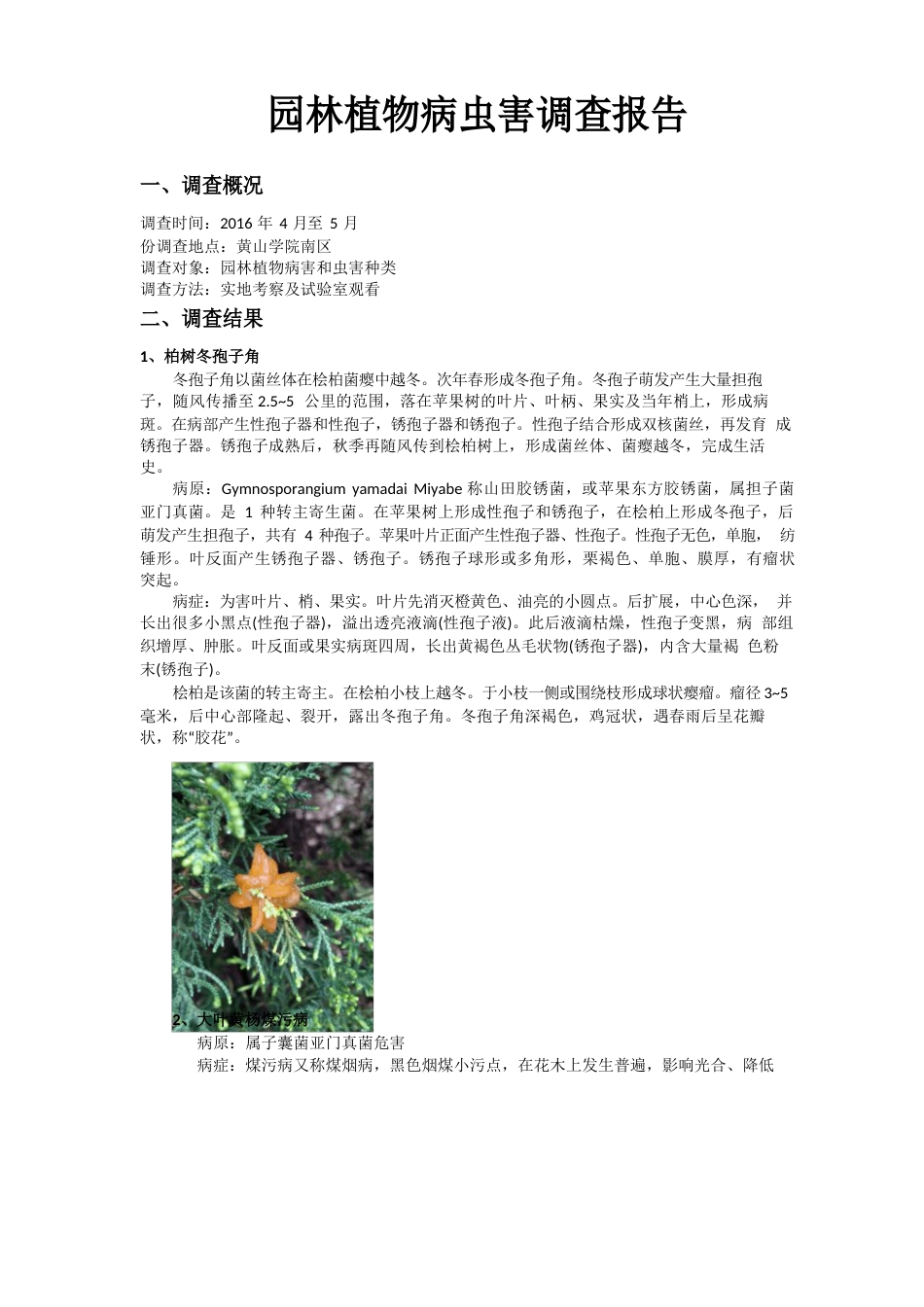 园林植物病虫害调查报告_第1页