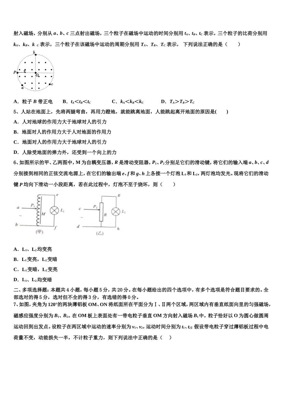 湖北省武汉市部分市级示范高中2023年下学期高三年级期末教学质量检测试题（一模）物理试题_第2页