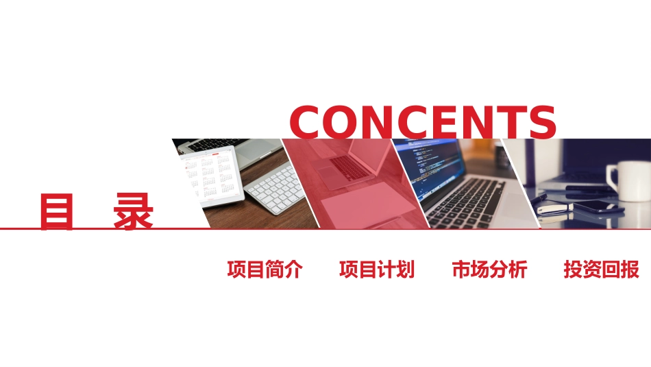 商业计划书模板- (26)_第2页