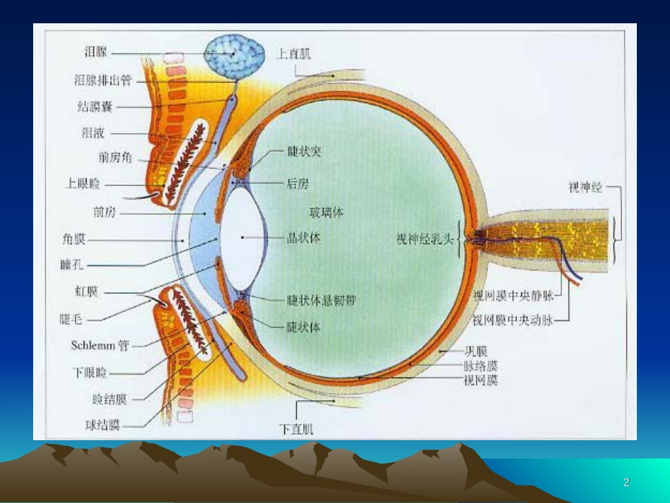 葡萄膜炎第八版课件[共30页]_第2页