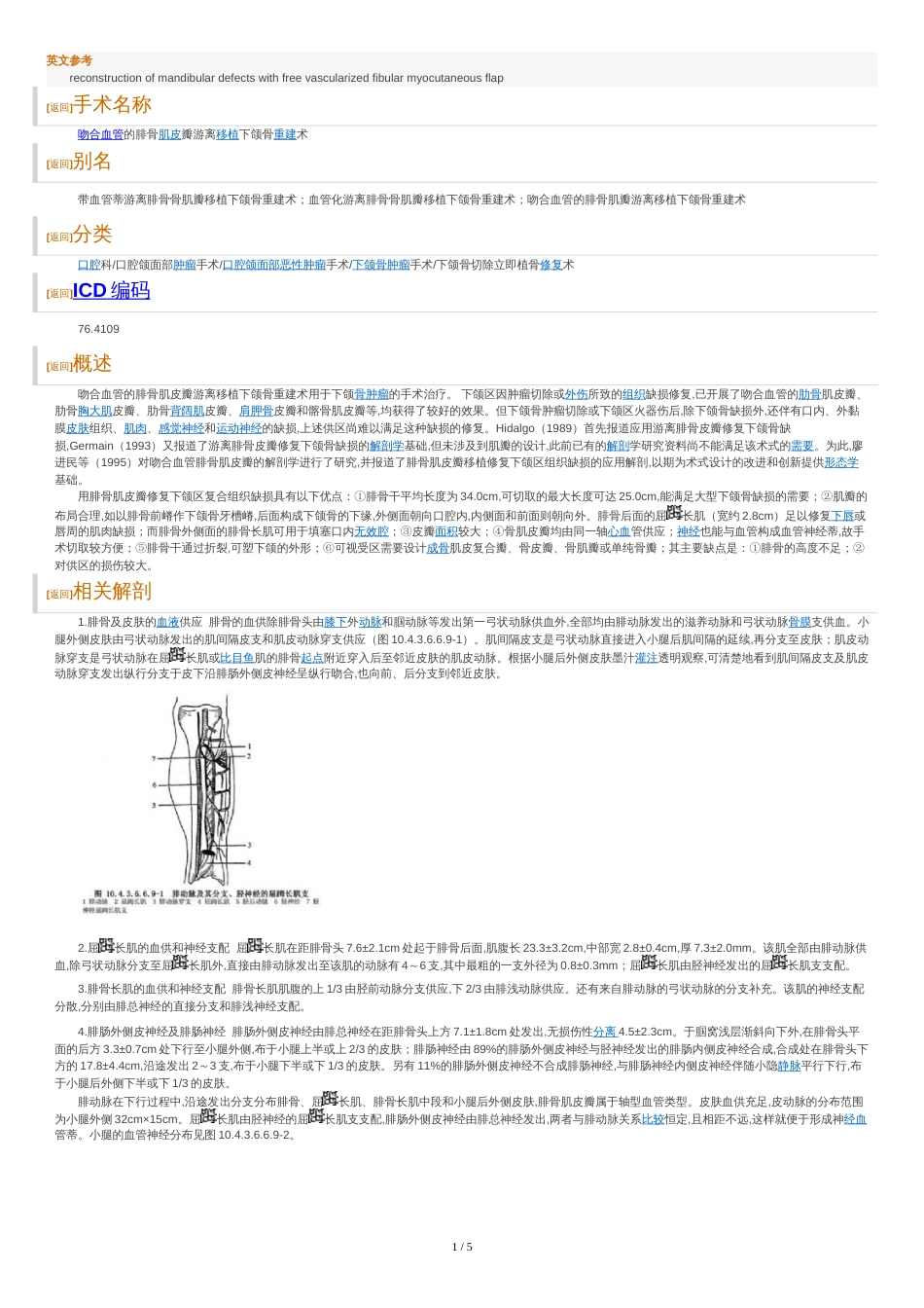 腓骨肌皮瓣[共6页]_第1页