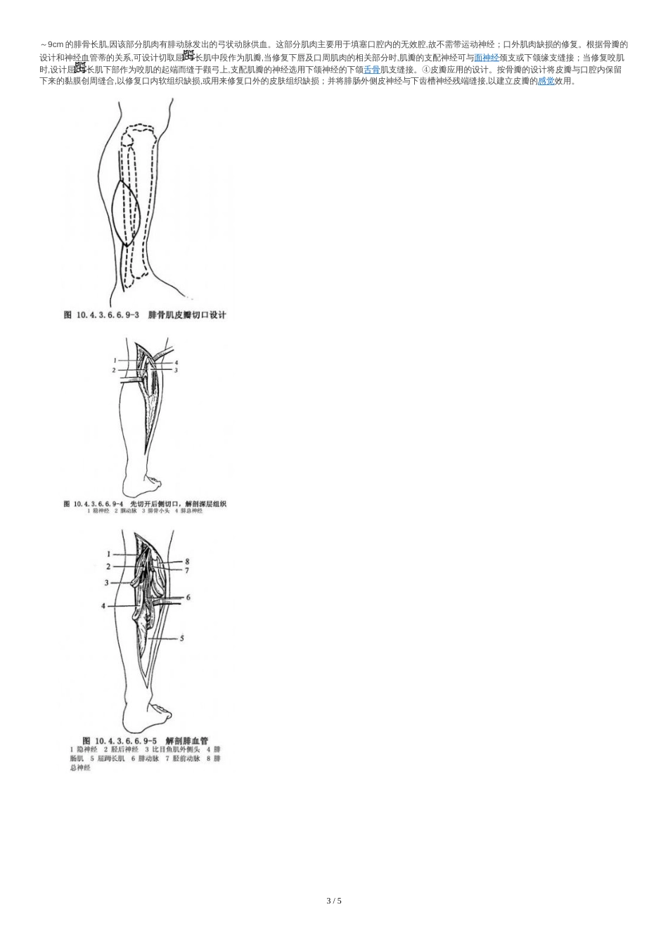 腓骨肌皮瓣[共6页]_第3页