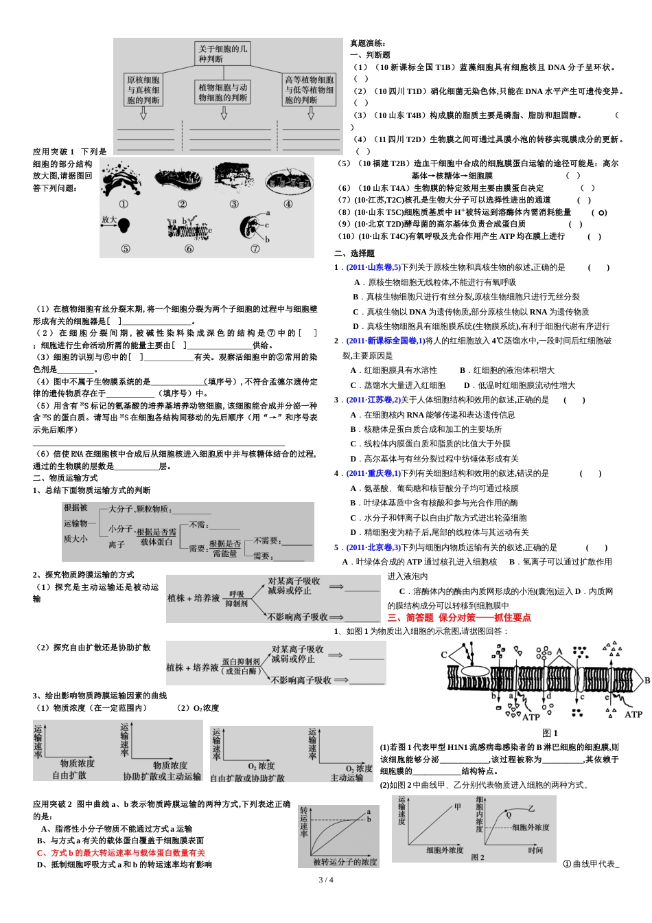 高三生物二轮复习--专题一-细胞的物质和结构基础_第3页