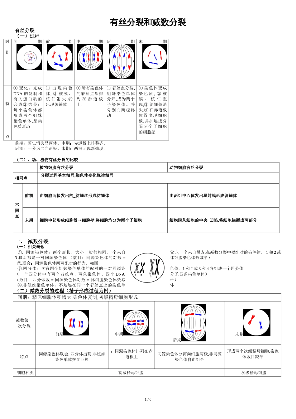 高中生物必修二有丝分裂-减数分裂详尽分析[共8页]_第1页