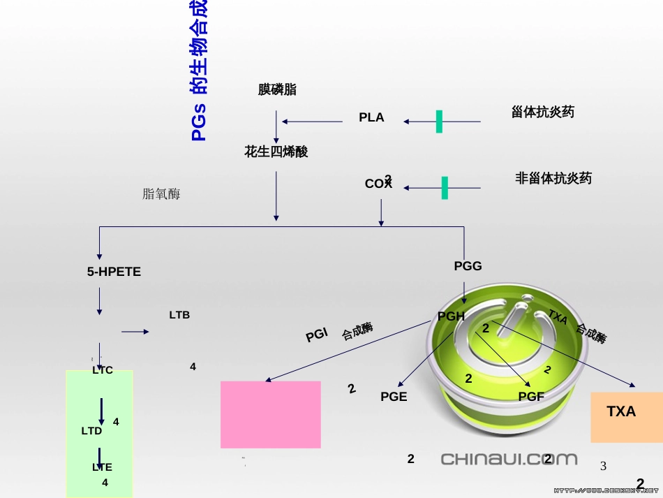 非甾体抗炎药non-steroidalanti-inflammatorydrugsNSAIDs[共22页]_第3页