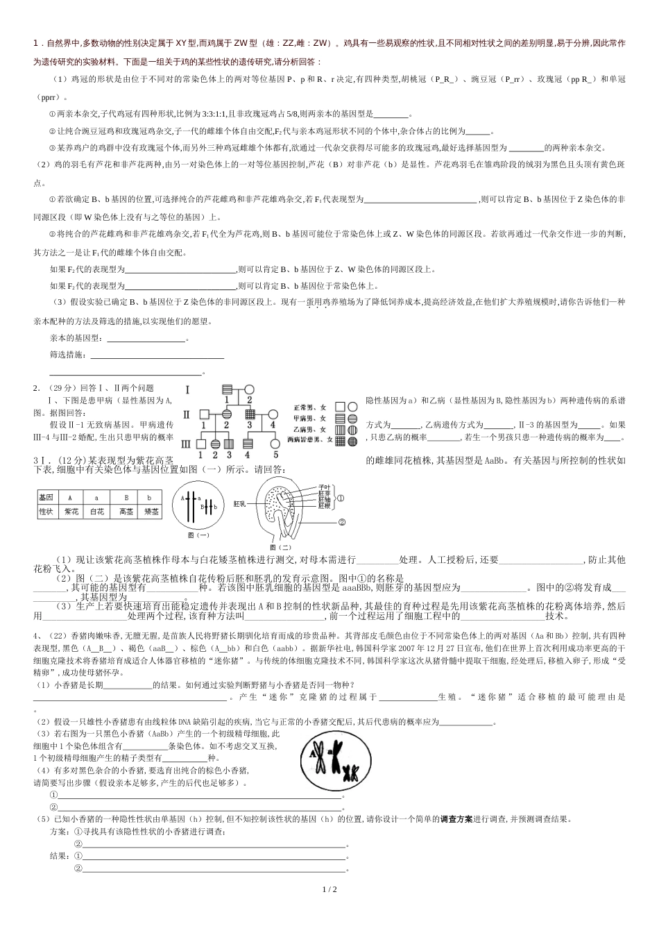 高中生物遗传大题_第1页