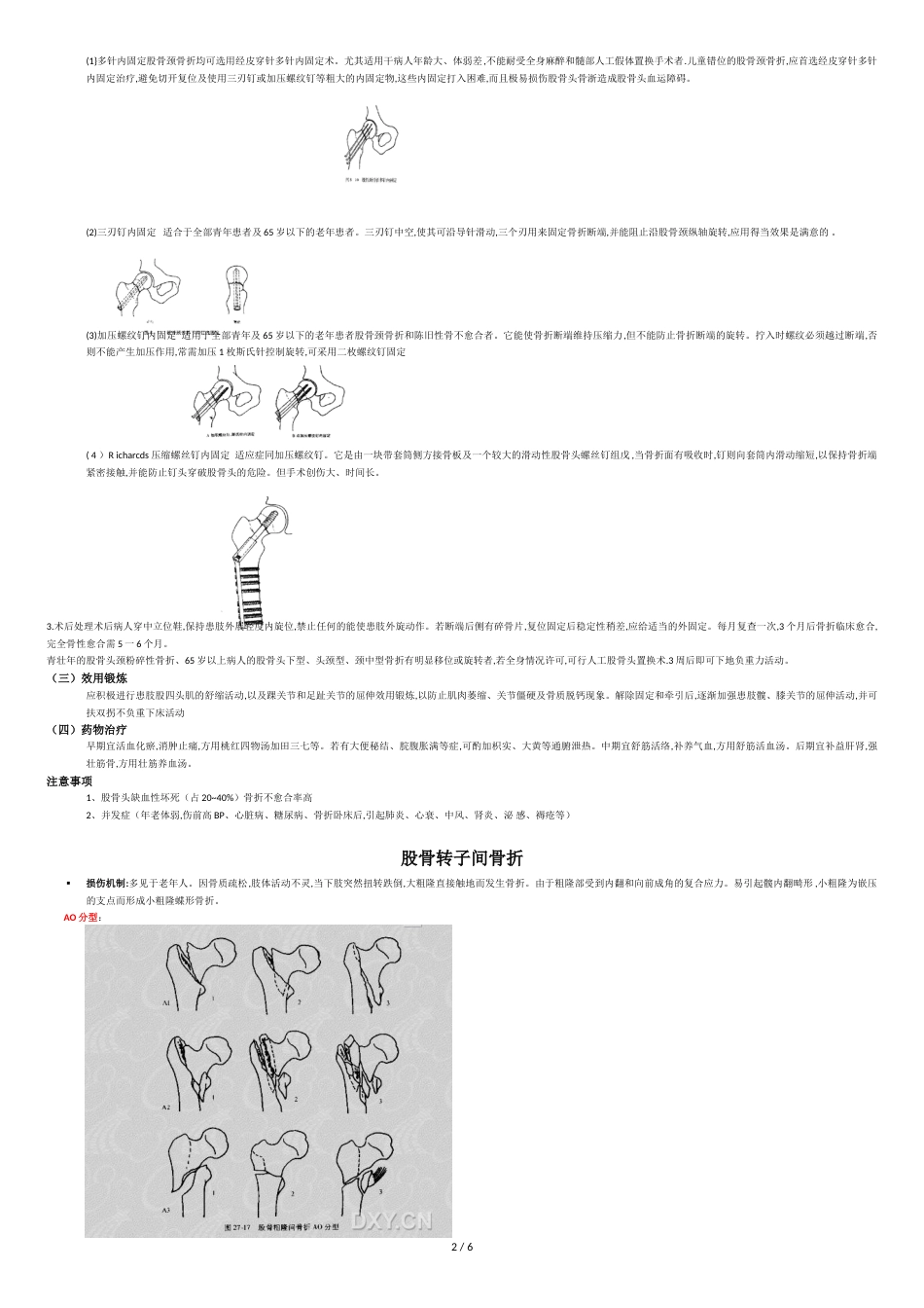 髋关节股骨骨折及后期康复[共7页]_第2页