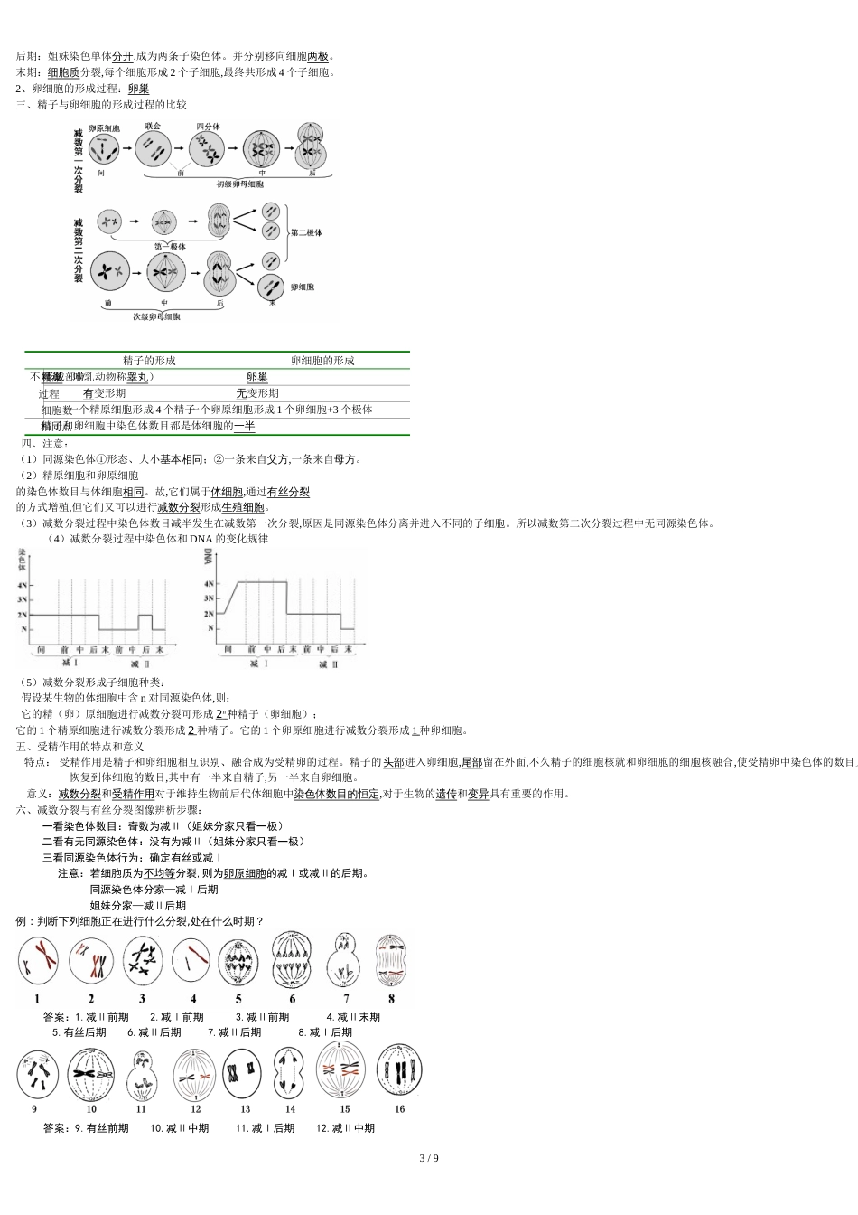 高中生物必修2知识点整理[共11页]_第3页