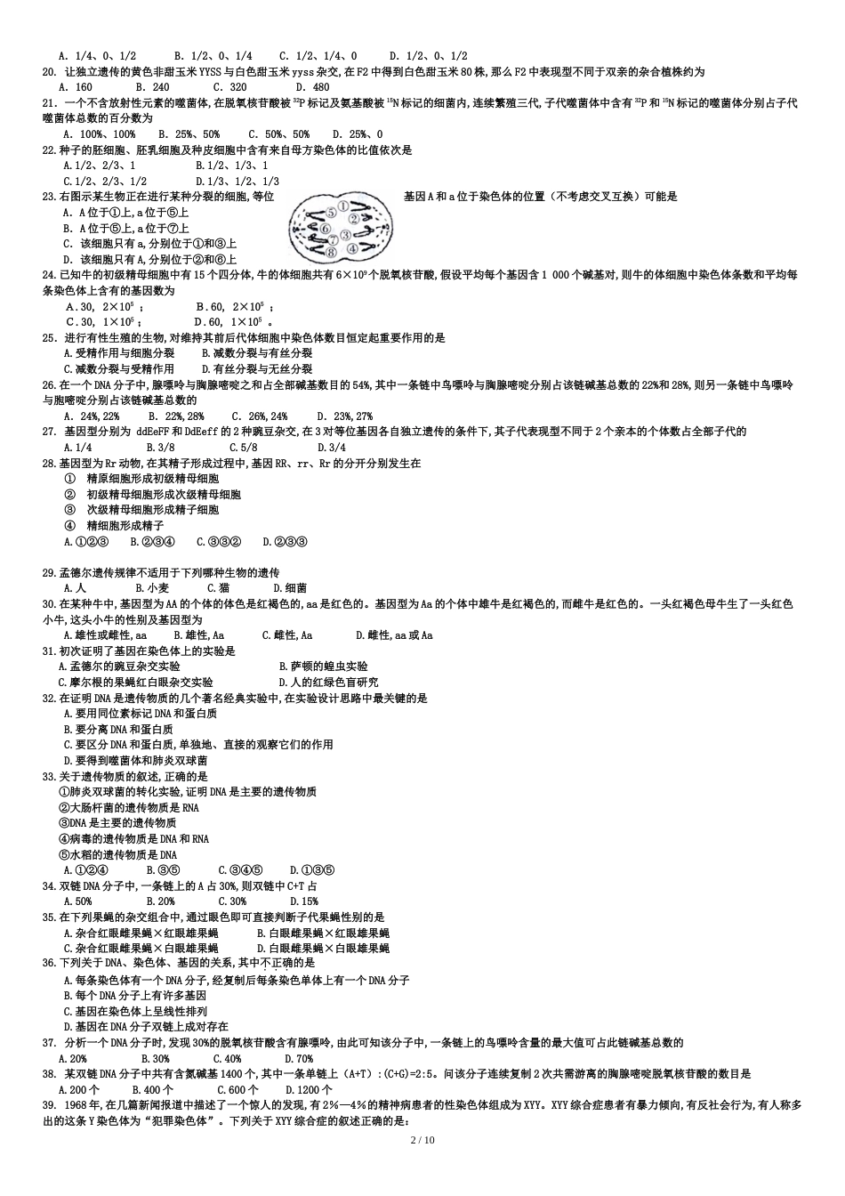 高中生物必修二试卷两套附带答案[共11页]_第2页