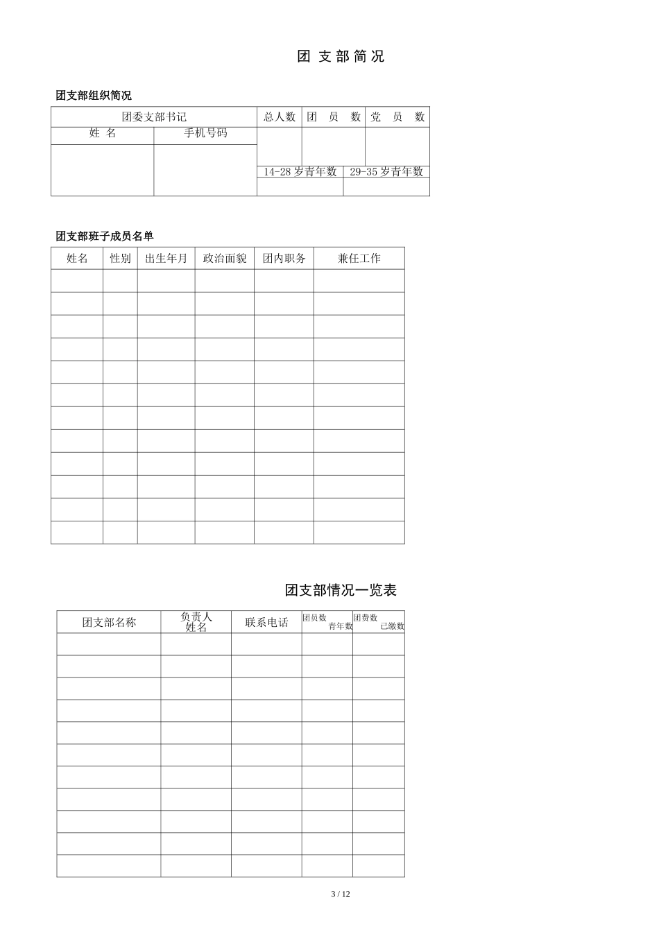 江苏大学团支部台账模板[共12页]_第3页