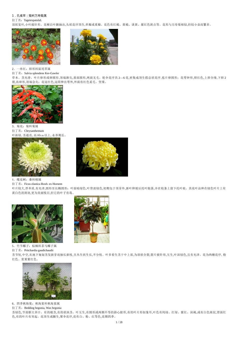 常见植物分类[共22页]_第1页